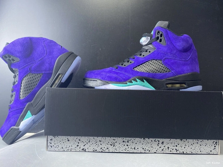  “Alternate 5 Jordan Grape” 136027-500 Air 0204